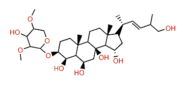 Tumidoside A